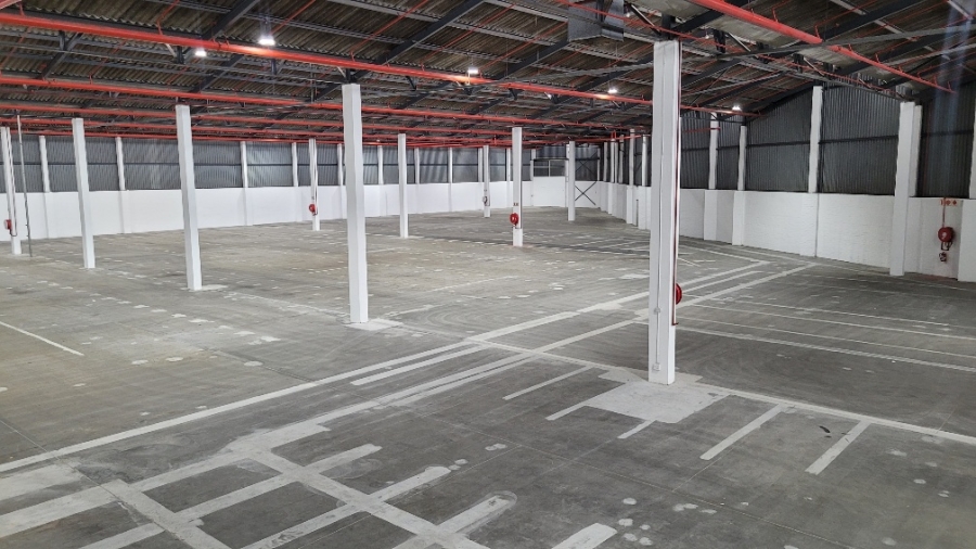 To Let commercial Property for Rent in Epping Industrial Western Cape